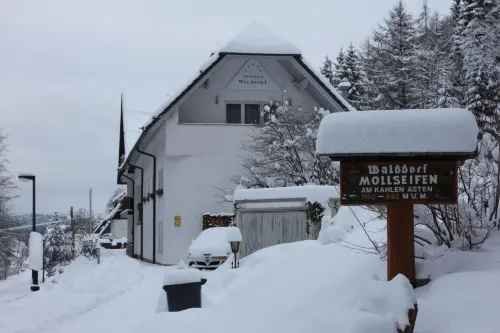 Pension Walddorf Hotels in Altastenberg