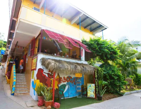 Cerrito Tropical Eco Lodge