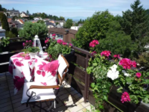 百靈達特勞博酒店 巴登韋勒酒店