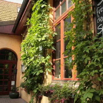 Landhotel Rittmeister & Kräuter-Spa Adults Only