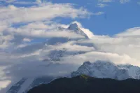 Junglaat Stays & Experiences