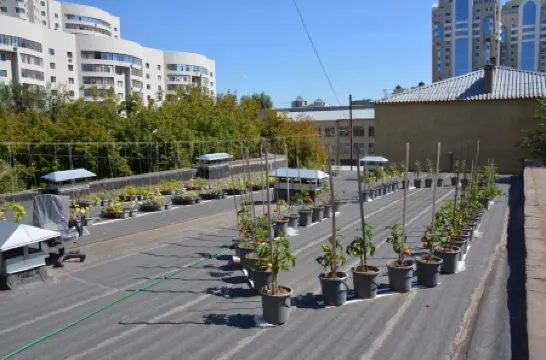 Brown Hotel Отели рядом с достопримечательностью «Музей Первого Президента Республики Казахстан»