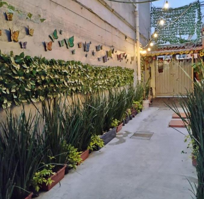 2. 알로 멕시코..