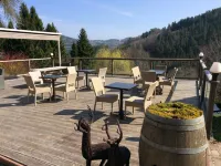 Hôtel Restaurant Domaine de Basil