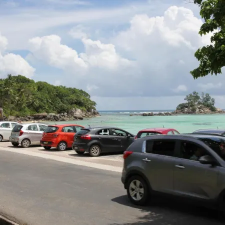 Island Cove