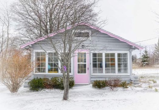 더 퍼플 마틴 인