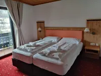 Hotel Lindwurm Hotel a Bad Ischl