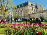 CamParis - B&B - Chambre d'hôtes - Bed and Breakfasts