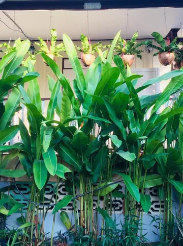 รูปภาพของกูดมอนิ่ง บาย แทมมารีน