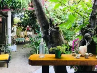 Hotel Posada Señor Mañana