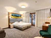 Hotel Pegaz Hotels in Nowosadecki