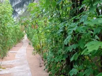 FR Resort Arugambay Hotels in Arugam