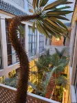 Miostello Lifestyle Riad Marrakech