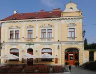 Hotel U Zeleneho Stromu Hotels in Plánice