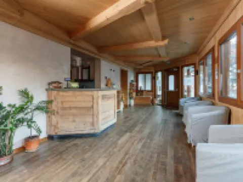 ホテル ヴィラ リナ ボルミオのホテル