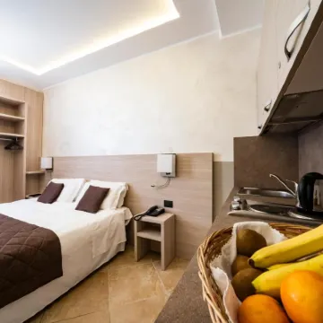 Hotel Plaza Hotels near Museo dell'automobile