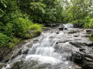 StayVista's Serene Nook - Pet-Friendly Villa with Jacuzzi & Terrace