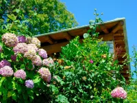 Guesthouse Iris Hotels in Tsagkarada