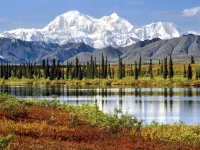 McKinley Creekside Cabins Hotels in Denali