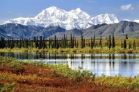McKinley Creekside Cabins