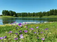 A' la Table du Sommelier Chambres D Hôtes Hotels in Challand-Saint-Anselme