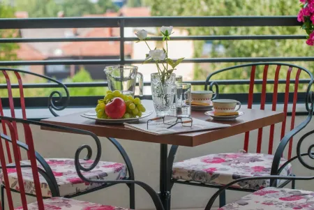 Vila Opera Отели в г. Врњачка Бања