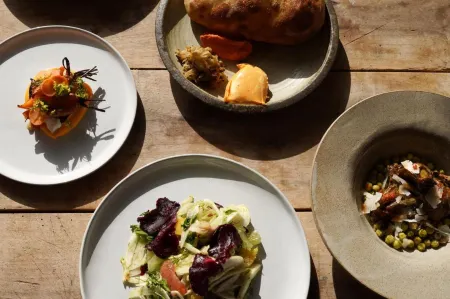 Slowness - Kibbutz Moran