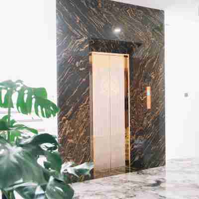 Quy Tai Premium Hotel Hotel Exterior