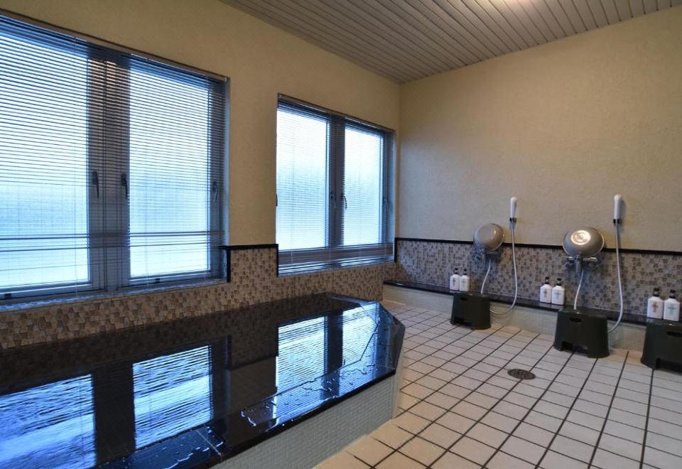 알레즈 데 발레 시라하마