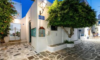 Pelican Paros
