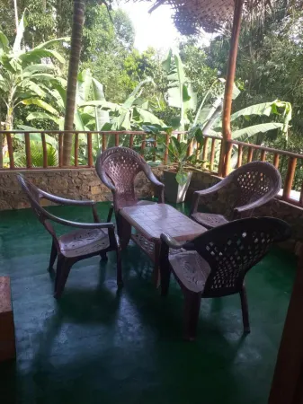Ella Nature Nest