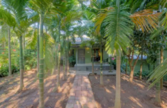 Silvanus Forest Retreat by Madstays, Alibaug
