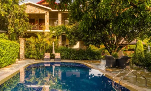 Tree of Life Vanvilas Riveredge Corbett