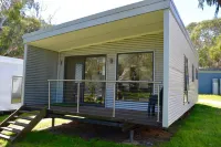 Bimbi Park - Camping under Koalas