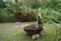 Natty Tropical Valley Hotels near Museum of Rum