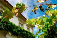 Casa da Várzea فنادق في Fornelos