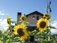 Hotel Olimpic Hotel in zona Giardino di piazza Centa