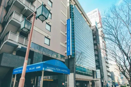 Hamilton Hotel Blue