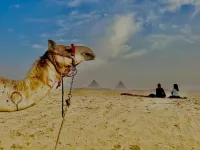 Pyramids Top Success Result