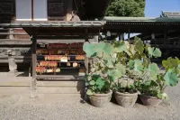 Lodging Tokyo Shibamata 도쿄 호텔