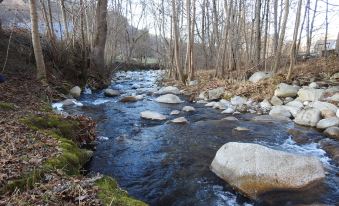 La Boucle de l'Adour Chambres d'Hôtes