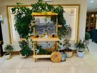 Shatha Abha Furnished Units