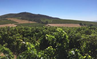 Domaine Coutelier