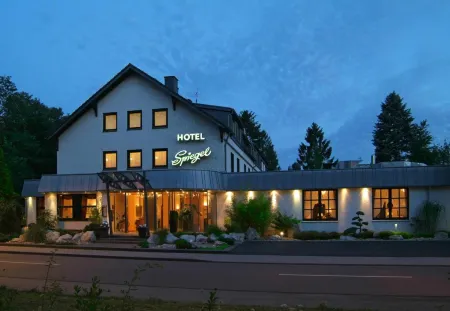 Hotel Spiegel Отели рядом с достопримечательностью «Зоопарк Рольфс Штрайхель»