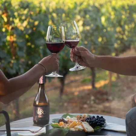 Vibo Wine Lodge at Viu Manent