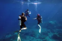 Quiver Dive Team Perhentian Dorm - Hostels