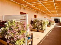 Alencio Panorama Residence