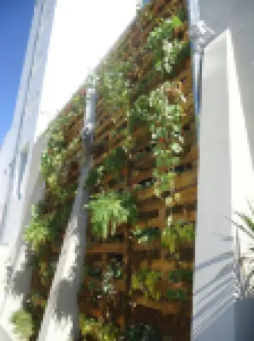 Hotel Platino Termas All Inclusive のホテル