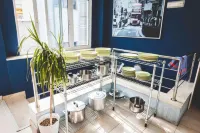 Feel Hostels Soho Malaga - breakfast