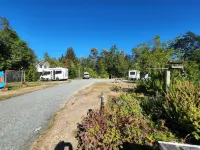 Possum Lodge - Hostels